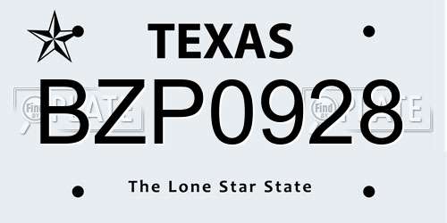 BZP0928 Texas License Plate