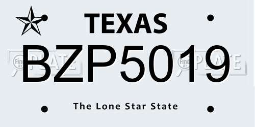BZP5019 Texas License Plate