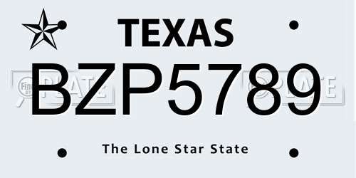 BZP5789 Texas License Plate