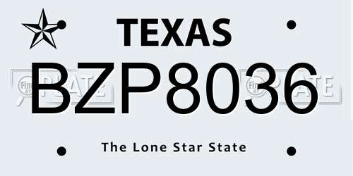 BZP8036 Texas License Plate