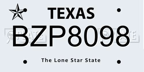 BZP8098 Texas License Plate