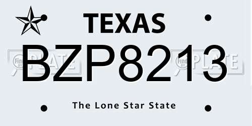 BZP8213 Texas License Plate