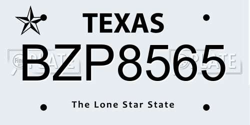 BZP8565 Texas License Plate