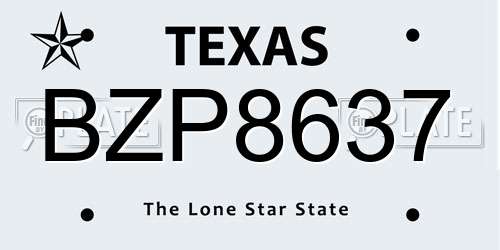 BZP8637 Texas License Plate