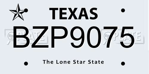 BZP9075 Texas License Plate