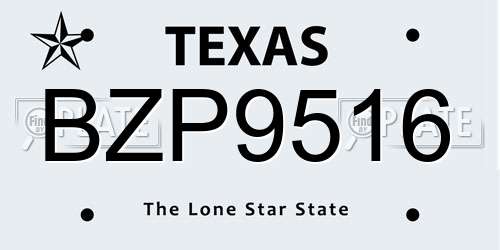 BZP9516 Texas License Plate