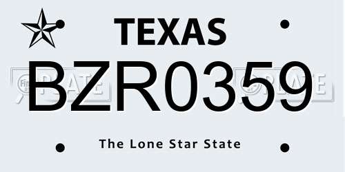 BZR0359 Texas License Plate