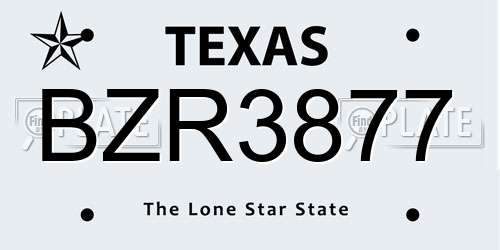 BZR3877 Texas License Plate
