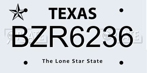 BZR6236 Texas License Plate