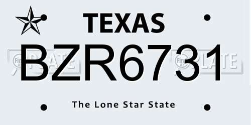 BZR6731 Texas License Plate