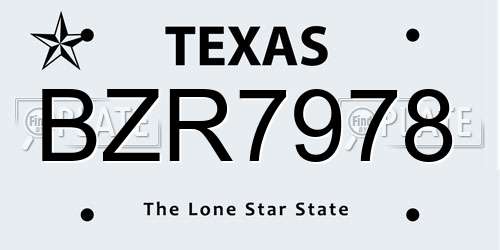 BZR7978 Texas License Plate