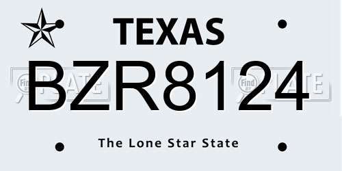 BZR8124 Texas License Plate