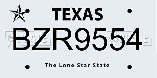 BZR9554 Texas License Plate