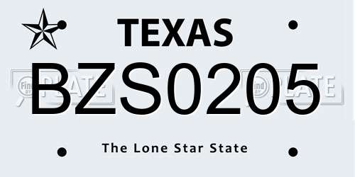 BZS0205 Texas License Plate