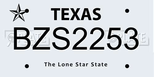 BZS2253 Texas License Plate