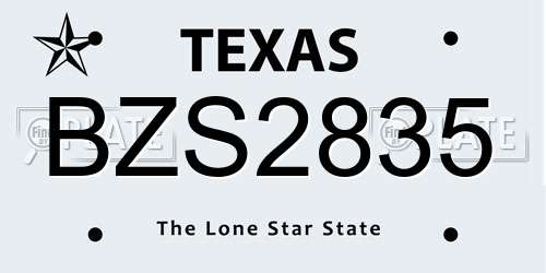 BZS2835 Texas License Plate