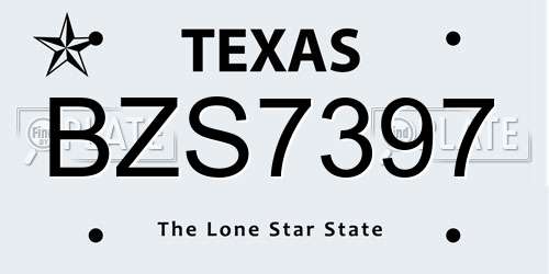 BZS7397 Texas License Plate
