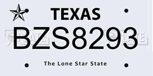 BZS8293 Texas License Plate