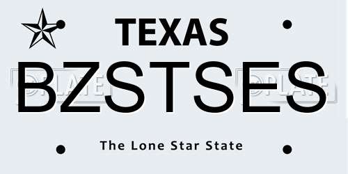 BZSTSES Texas License Plate