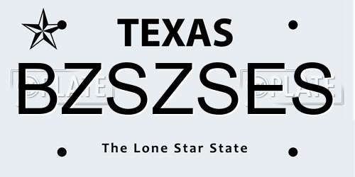 BZSZSES Texas License Plate