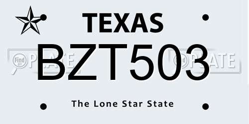BZT503 Texas License Plate