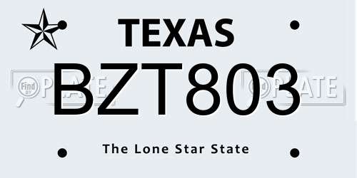 BZT803 Texas License Plate