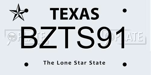 BZTS91 Texas License Plate