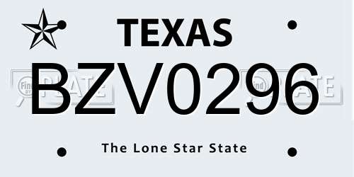 BZV0296 Texas License Plate