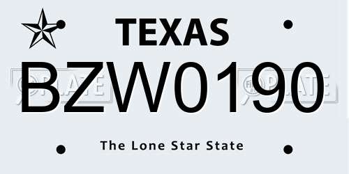 BZW0190 Texas License Plate