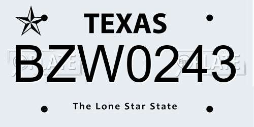 BZW0243 Texas License Plate