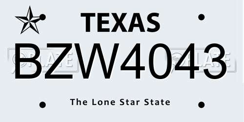 BZW4043 Texas License Plate