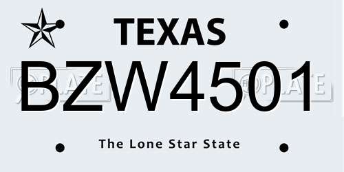 BZW4501 Texas License Plate