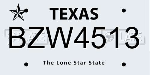 BZW4513 Texas License Plate