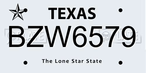 BZW6579 Texas License Plate