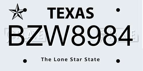 BZW8984 Texas License Plate