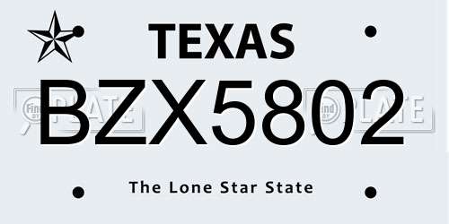 BZX5802 Texas License Plate