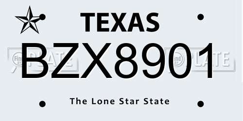BZX8901 Texas License Plate