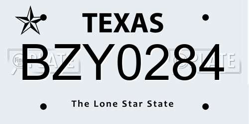 BZY0284 Texas License Plate