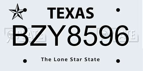 BZY8596 Texas License Plate