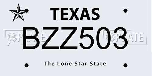 BZZ503 Texas License Plate