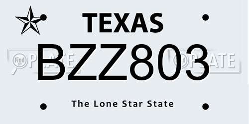 BZZ803 Texas License Plate