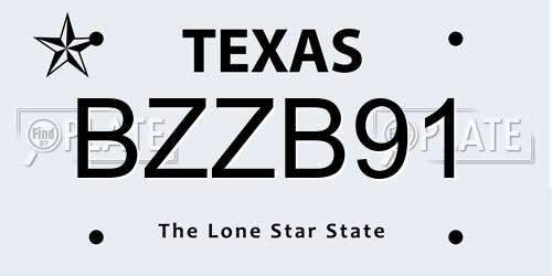 BZZB91 Texas License Plate