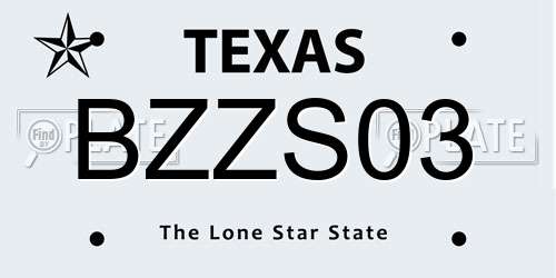 BZZS03 Texas License Plate