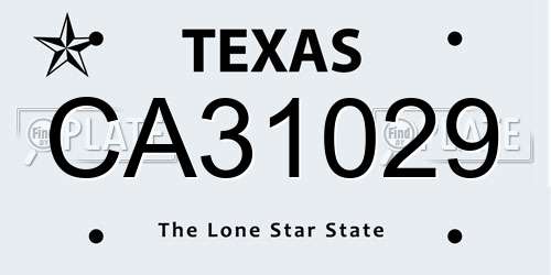CA31029 Texas License Plate