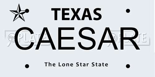 CAESAR Texas License Plate
