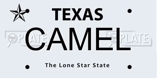 CAMEL Texas License Plate