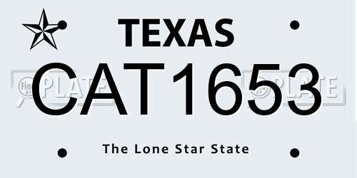 CAT1653 Texas License Plate