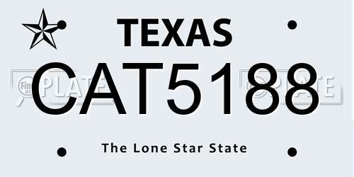 CAT5188 Texas License Plate