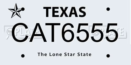 CAT6555 Texas License Plate