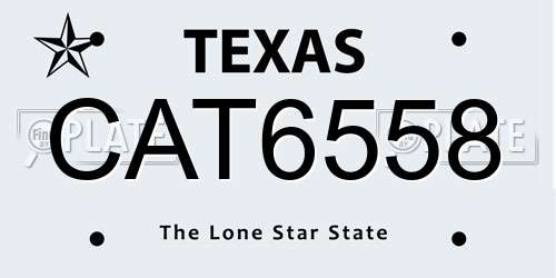 CAT6558 Texas License Plate